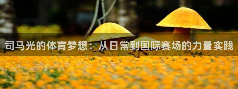 betway西汉姆：司马光的体育梦想：从日常到国际赛场的力量实践