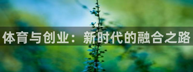 betway西汉姆官网：体育与创业：新时代的融合之路