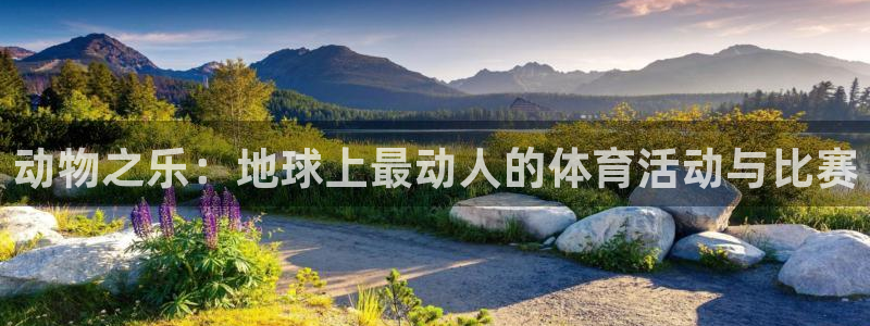 必威betway西汉姆联