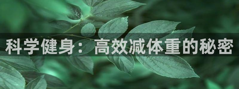 必威betway西汉姆联