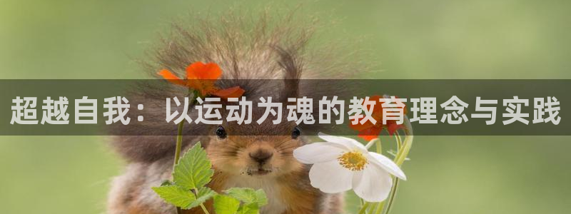 betway西汉姆：超越自我：以运动为魂的教育理念与实践