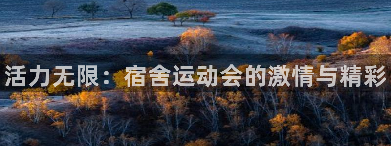 betway西汉姆