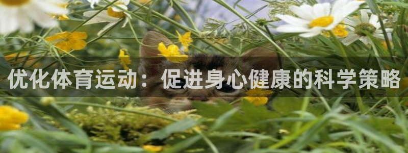 betway西汉姆：优化体育运动：促进身心健康的科学策略