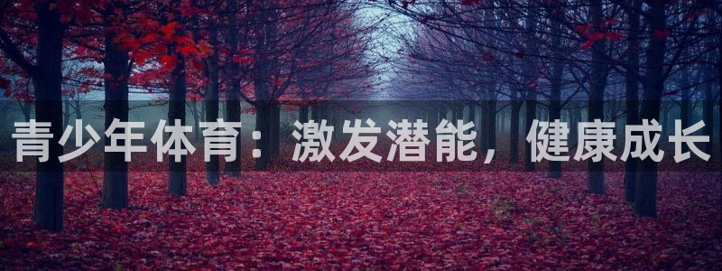 betway西汉姆联：青少年体育：激发潜能，健康成长